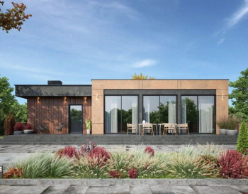 ТИ-49. Баня с бассейном в стиле 